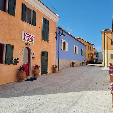 L'orso E Il Mare (adults Only) 4* Palau