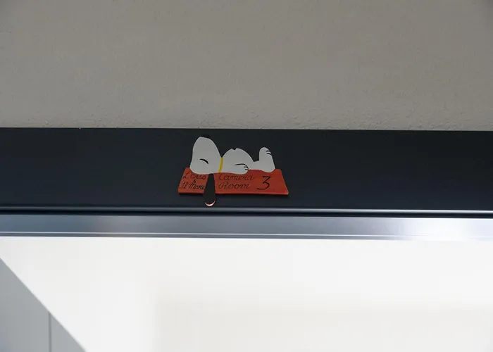 L'orso E Il Mare (adults Only) Palau